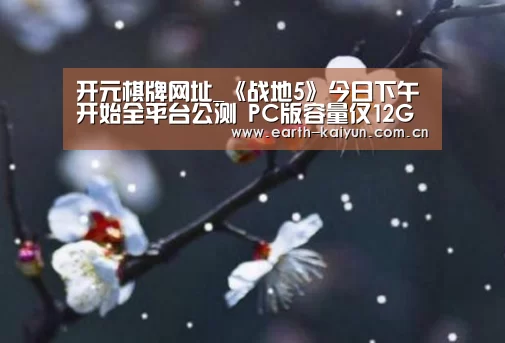 开云