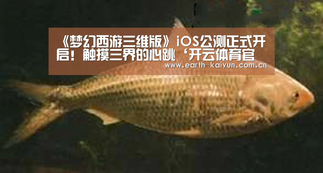 《梦幻西游三维版》iOS公测正式开启!触摸三界的心跳‘开云体育官网’(图1) 开元棋牌网址