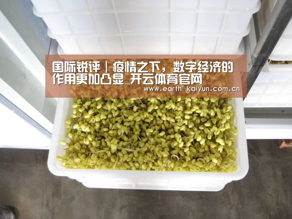 国际锐评|疫情之下,数字经济的作用更加凸显_开云体育官网(图4) 开元棋牌网址