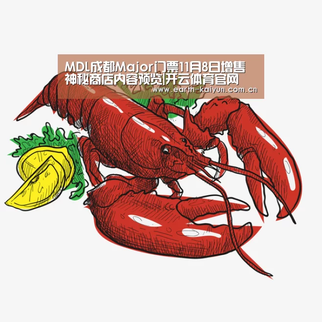 MDL成都Major门票11月8日增售 神秘商店内容预览|开云体育官网(图3) 开云