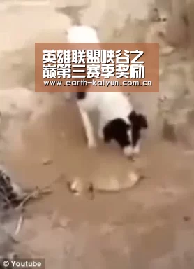 英雄联盟峡谷之巅第三赛季奖励领取地址-lol峡谷之巅第三赛季奖励详情及领取时间‘开云’(图1) 开元棋牌网址